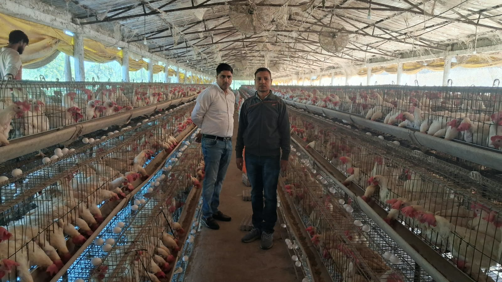 कुक्कुट पालन से आत्मनिर्भरता