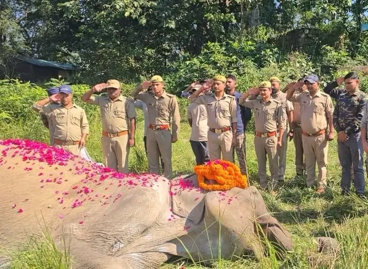 हथिनी सोनाकली का निधन